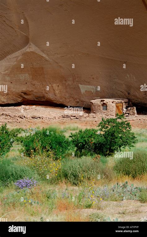 Arizona, Navajo Indian Reservation, Chinle, Canyon de Chelly National ...