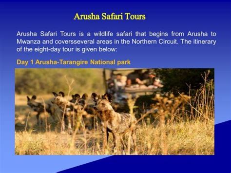 Arusha Safari Tours