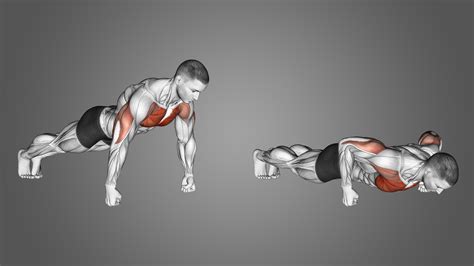 Knuckle Push-Ups: Benefits, Muscles Used, and More - Inspire US