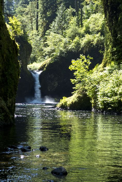 Day trip to Punch Bowl Falls, Eagle Creek, Oregon.... - The Simontist