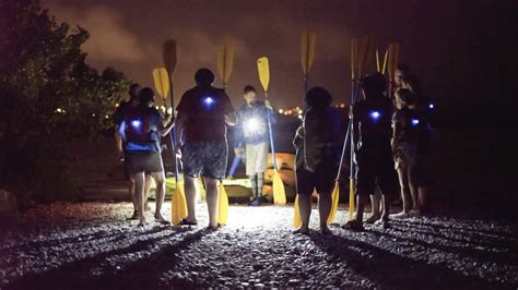 How to Visit the Bioluminescent Bay (Mosquito Bay) in Vieques, Puerto ...