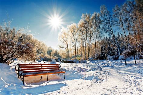 Fonds d'ecran Saison Hiver Parc Neige Arbres Banc Soleil Nature télécharger photo