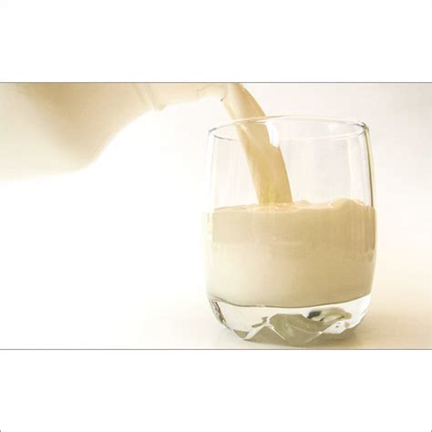 Whey Protein Concentrate Manufacturer, Supplier from Delhi - Best Price