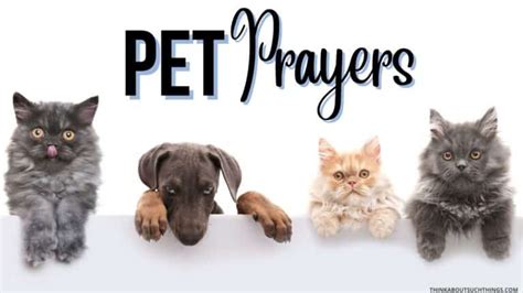 9 Powerful Prayers For Pets | Think About Such Things