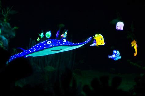 Finding Nemo - EPCOT | Josh Hallett | Flickr
