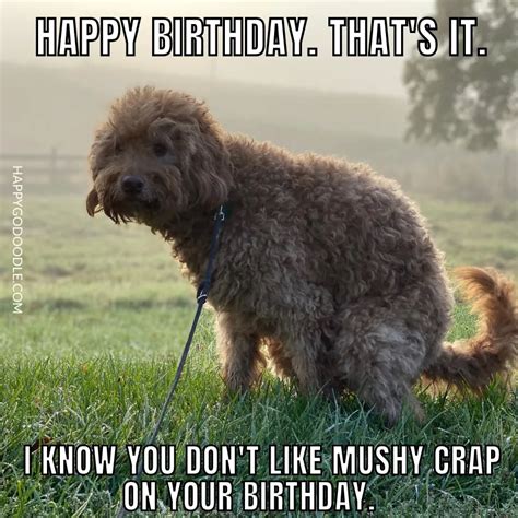 Funny Happy Birthday Meme Dog