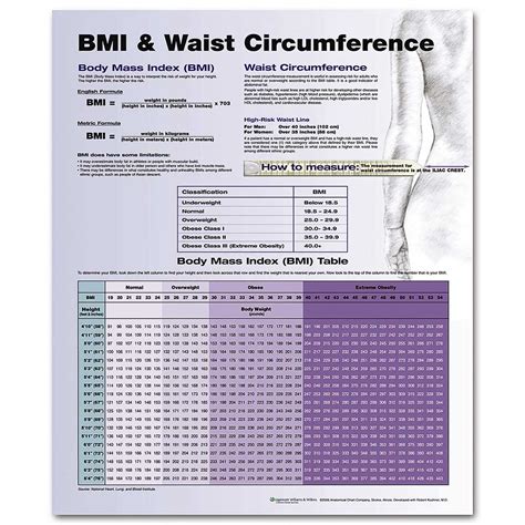 BMI & Waist Circumference Chart 20'' x 26''