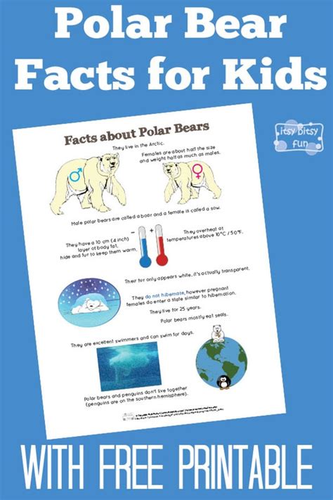 Printable Polar Bear Facts For Kids