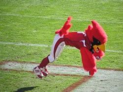 Cardinals - National Football League Mascots