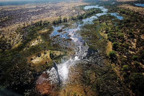 Okavango Delta Safari Explore Wilderness & Wildlife - Safari Ventures