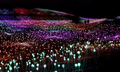 Field Of Lights Paso Robles - Draw-e