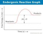 Endergonic Reaction: Definition, Examples, and Graph