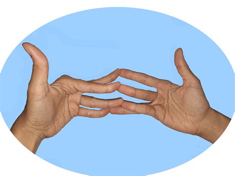 Surabhi Mudra