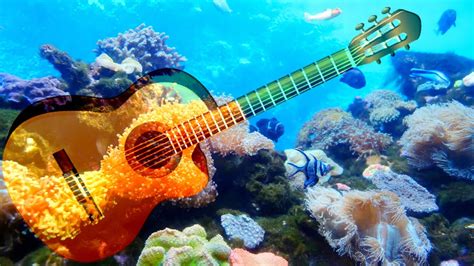 RELAXING AQUARIUM WITH ACOUSTIC GUITAR, CALM MUSIC - YouTube