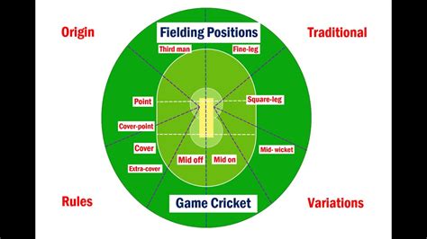 Fielding Positions in Cricket | Detailed information - YouTube