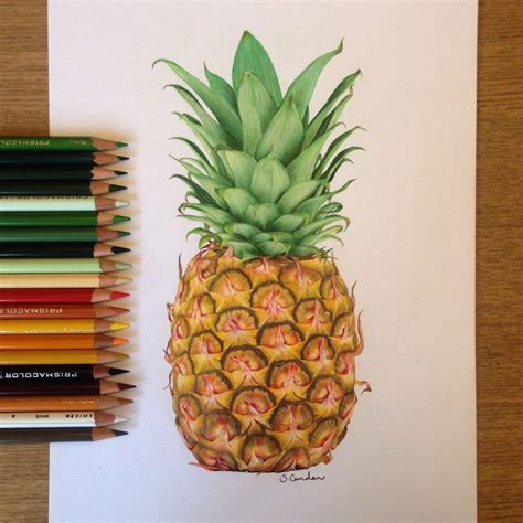 Vibrant Pineapple Drawing with Prismacolor Pencils