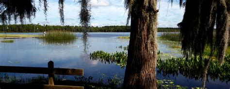 Things to Do in Union County, FL