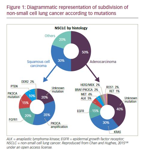 Immunotherapy and Targeted Therapies in the Treatment of Non-small Cell ...