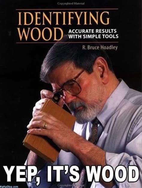 Yep, it's wood #LOL #humor | Funny pictures, Funny pictures with captions, Funny memes