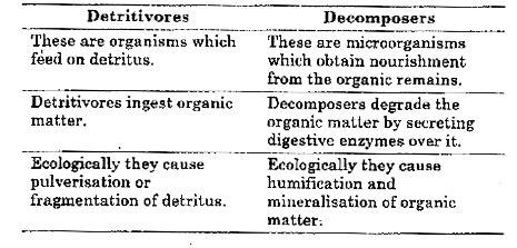 [Odia Solution] Differentiate between Detritivores and Decomposers