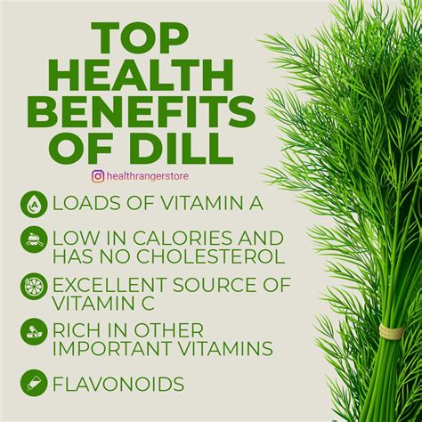 Top health benefits of dill | Tea health benefits, Health benefits, Health