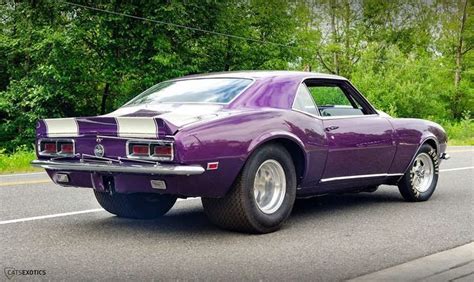 Pin by Theodore Weingates on purple in 2020 | Muscle cars, Camaro, Classic cars trucks hot rods