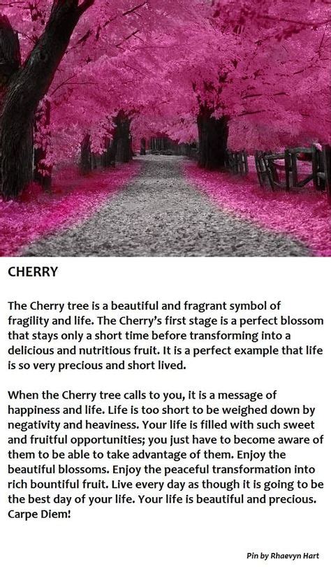 Die besten 25+ Cherry blossom meaning Ideen auf Pinterest | Designing women, Japanische namen ...