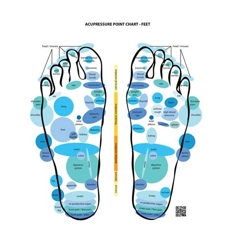 PRESSURE POINTS CHART – FULL BODY & FEET - AZURAI