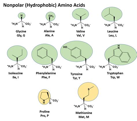 Chapter 2: Protein Structure – Chemistry