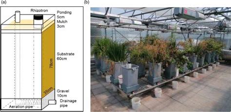 | (a) Schematic of the mesocosm design; (b) Photo of the 16 mesocosms ...