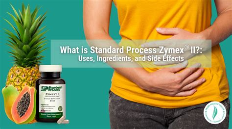 What is Standard Process Zypan®?: Uses, Benefits, and Ingredients - Snow Holistic Health