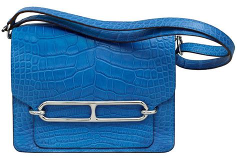 The Ultimate Visual Guide to Hermès Bag Styles - PurseBlog