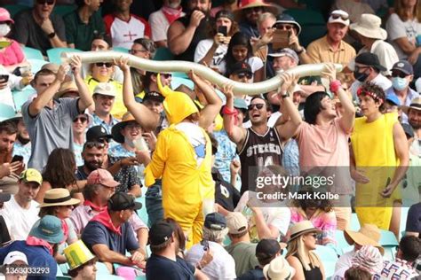 Fans Beer Snake Photos and Premium High Res Pictures - Getty Images