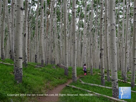 12 Fabulous Hikes in Flagstaff - Top Ten Travel Blog