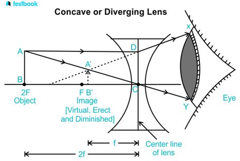 Concave Lens: Know Definition, Types, Formula, Uses, Difference