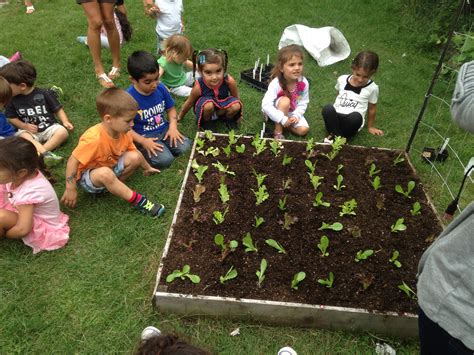 School Garden Ideas