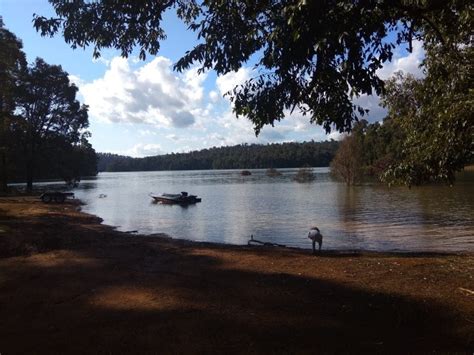 Waroona Dam - Lake Navarino - Buggybuddys guide to Perth