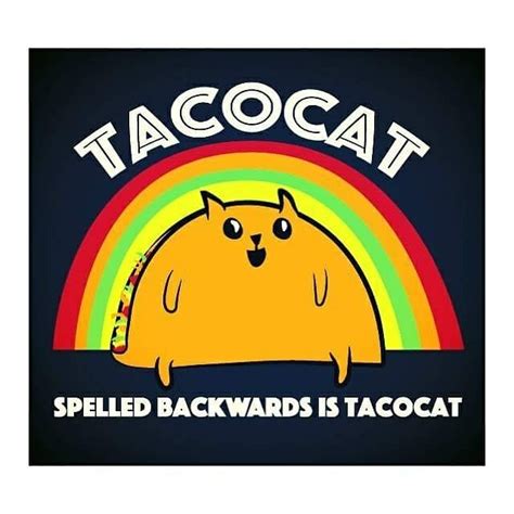 The oatmeal did it best. tacocat, cat comics, palindrome, taco tuesday, pounce, cat, funny ...