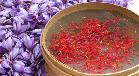 Rose of Saffron Fair, Consuegra -Toledo- FIFOFUSPAIN -FESTIVALS & TRADITIONS-