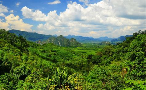 KHAO LAK NATIONAL PARK – ELEPHANT TOUR | Elephant Trekking Tours in Phuket