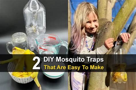 2 DIY Mosquito Traps That Are Easy To Make