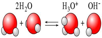 What is Ionic Product of Water? - QS Study