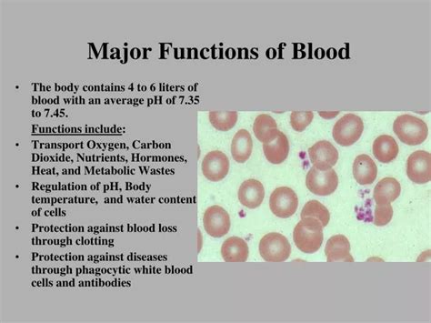 PPT - Major Functions of Blood PowerPoint Presentation, free download ...