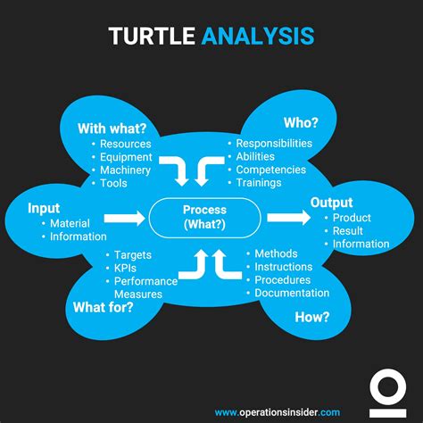 Turtle Analysis — Operations Insider