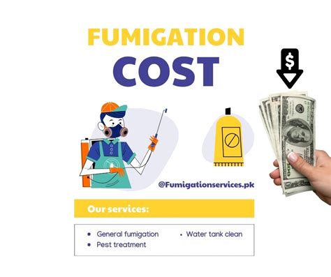 Saving Money on Fumigation: Cost-Effective Tips