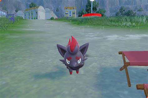 Zorua location in Pokémon Scarlet and Violet: Where to catch Zorua ...