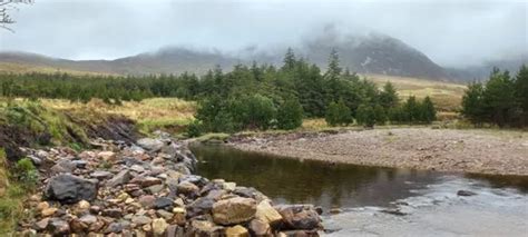 Best 10 Hiking Trails in Connemara National Park | AllTrails