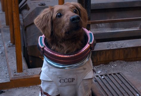 'Guardians of the Galaxy 3': Maria Bakalova on Cosmo Being A Good Dog