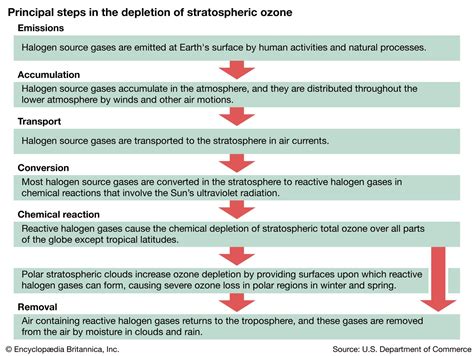 Harmful Effects Of Ozone Layer Depletion