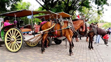 Macam-macam Transportasi Darat di Indonesia, WAJIB BACA